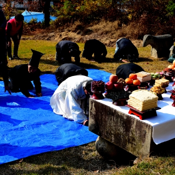 삼실과를 쓰는 이유
